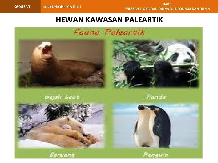 GEOGRAFI untuk SMA dan MA Jilid 1 BAB 1 SEBARAN FLORA DAN FAUNA DI