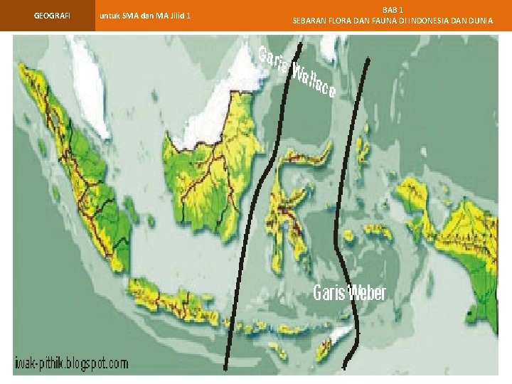 GEOGRAFI untuk SMA dan MA Jilid 1 BAB 1 SEBARAN FLORA DAN FAUNA DI