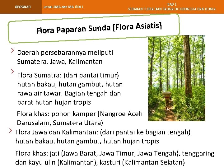 GEOGRAFI untuk SMA dan MA Jilid 1 BAB 1 SEBARAN FLORA DAN FAUNA DI