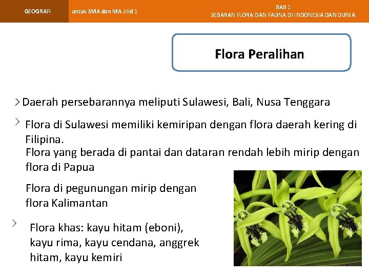 GEOGRAFI untuk SMA dan MA Jilid 1 BAB 1 SEBARAN FLORA DAN FAUNA DI