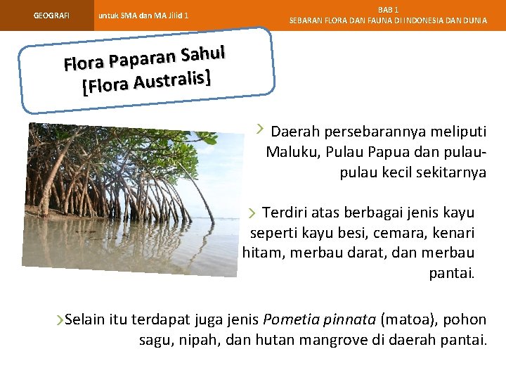 GEOGRAFI untuk SMA dan MA Jilid 1 BAB 1 SEBARAN FLORA DAN FAUNA DI