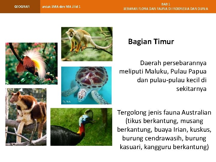 GEOGRAFI untuk SMA dan MA Jilid 1 BAB 1 SEBARAN FLORA DAN FAUNA DI