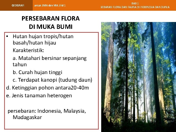 GEOGRAFI untuk SMA dan MA Jilid 1 PERSEBARAN FLORA DI MUKA BUMI • Hutan