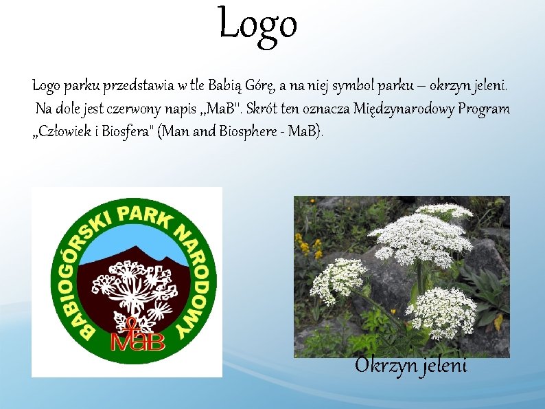 Logo parku przedstawia w tle Babią Górę, a na niej symbol parku – okrzyn