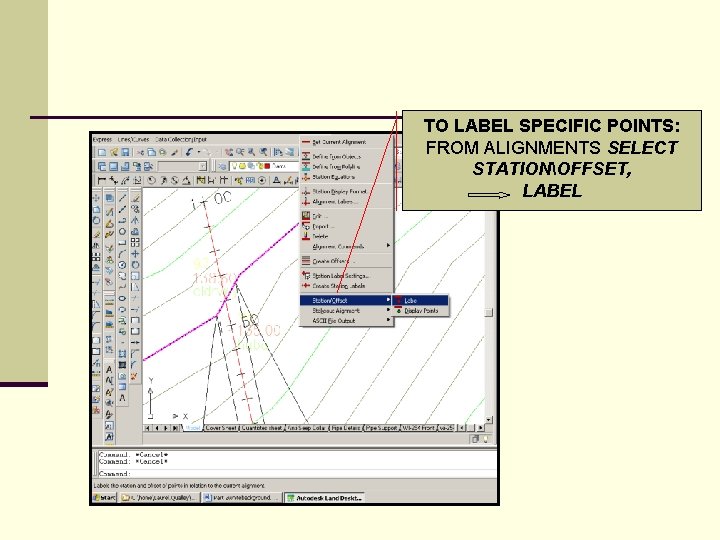 TO LABEL SPECIFIC POINTS: FROM ALIGNMENTS SELECT STATIONOFFSET, LABEL 