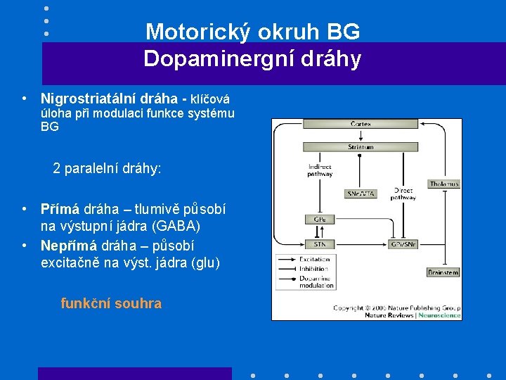 Motorický okruh BG Dopaminergní dráhy • Nigrostriatální dráha - klíčová úloha při modulaci funkce