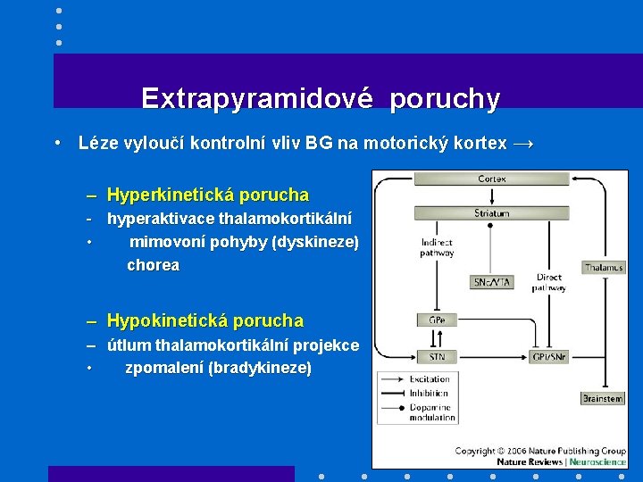 Extrapyramidové poruchy • Léze vyloučí kontrolní vliv BG na motorický kortex → – Hyperkinetická