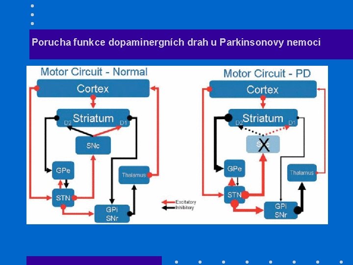 Porucha funkce dopaminergních drah u Parkinsonovy nemoci 