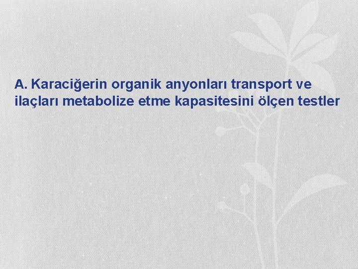 A. Karaciğerin organik anyonları transport ve ilaçları metabolize etme kapasitesini ölçen testler 