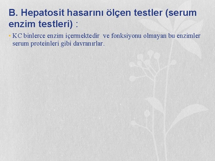B. Hepatosit hasarını ölçen testler (serum enzim testleri) : • KC binlerce enzim içermektedir