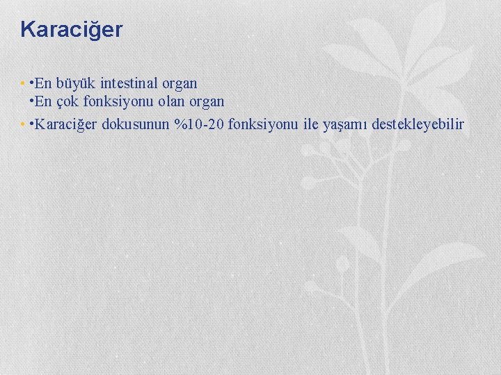 Karaciğer • • En büyük intestinal organ • En çok fonksiyonu olan organ •