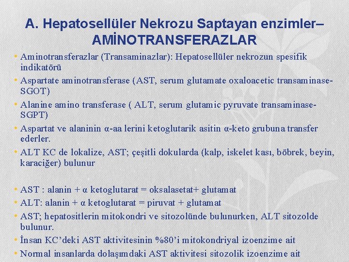 A. Hepatosellüler Nekrozu Saptayan enzimler– AMİNOTRANSFERAZLAR • Aminotransferazlar (Transaminazlar): Hepatosellüler nekrozun spesifik indikatörü •