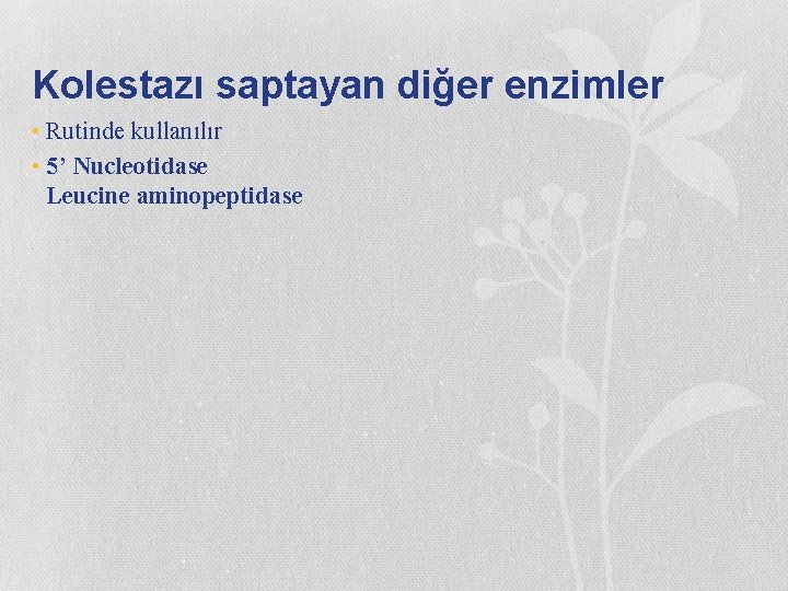 Kolestazı saptayan diğer enzimler • Rutinde kullanılır • 5’ Nucleotidase Leucine aminopeptidase 