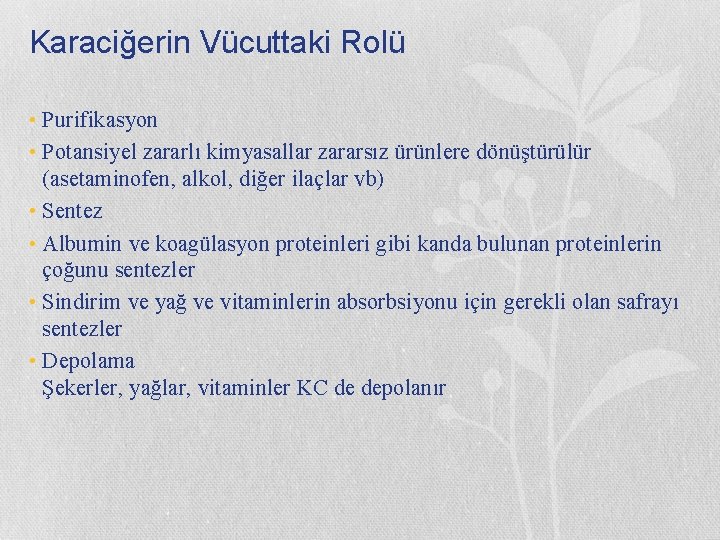 Karaciğerin Vücuttaki Rolü • Purifikasyon • Potansiyel zararlı kimyasallar zararsız ürünlere dönüştürülür (asetaminofen, alkol,