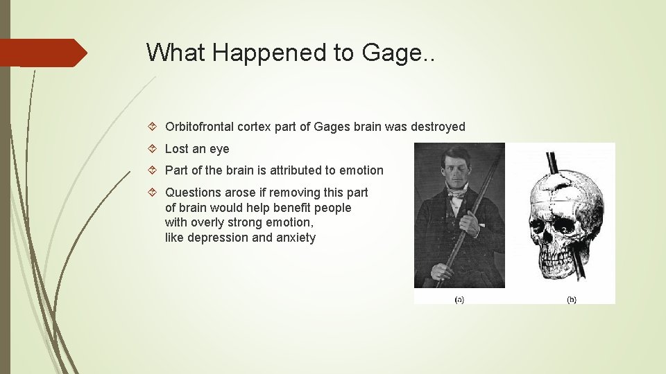 What Happened to Gage. . Orbitofrontal cortex part of Gages brain was destroyed Lost