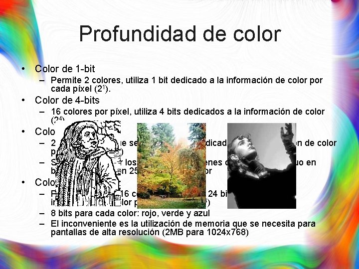 Profundidad de color • Color de 1 -bit – Permite 2 colores, utiliza 1