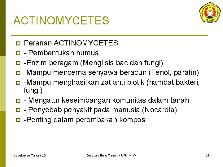 ACTINOMYCETES p p p p Peranan ACTINOMYCETES - Pembentukan humus -Enzim beragam (Menglisis bac