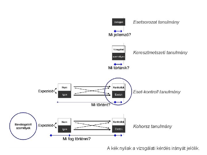 A kék nyilak a vizsgálati kérdés irányát jelölik. 