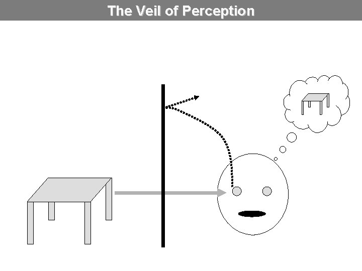 The Veil of Perception 