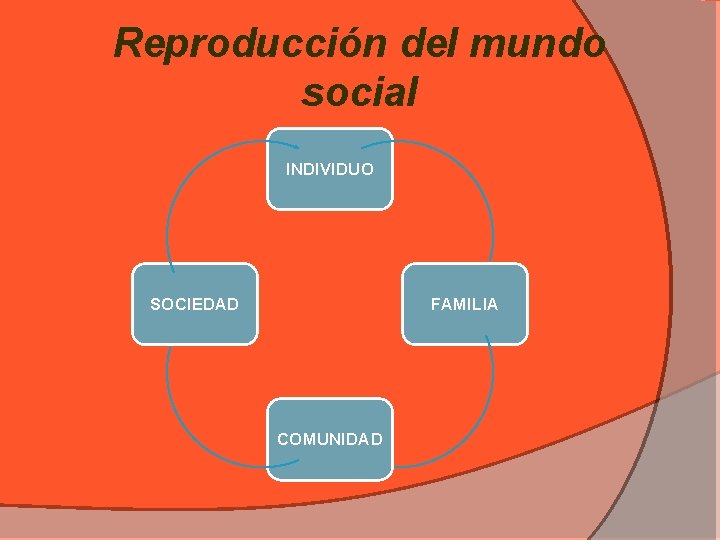 Reproducción del mundo social INDIVIDUO SOCIEDAD FAMILIA COMUNIDAD 