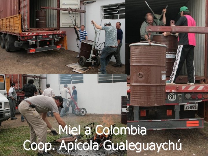 Miel a Colombia Coop. Apícola Gualeguaychú Marcelo Cagnoli 