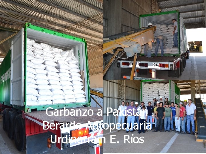 Garbanzo a Pakistán Berardo Agropecuaria Urdinarrain E. Ríos Marcelo Cagnoli 