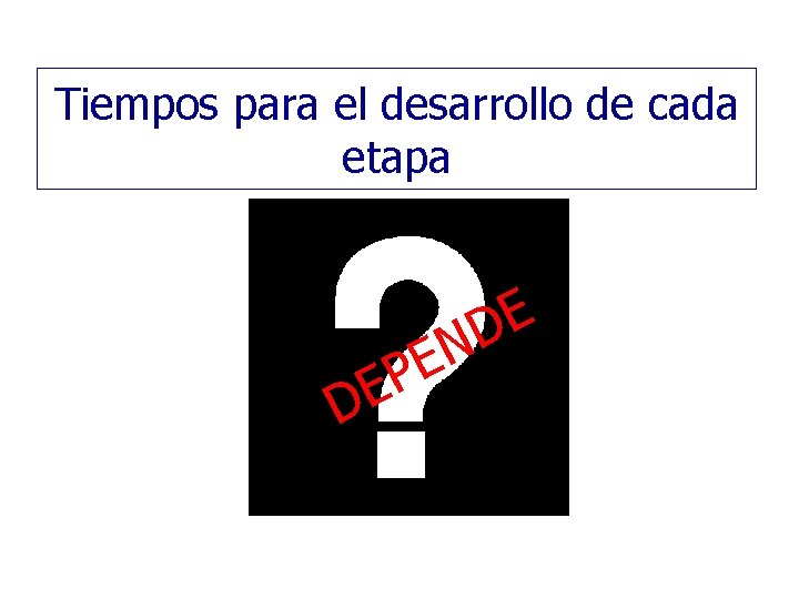 Tiempos para el desarrollo de cada etapa E D D N E EP 