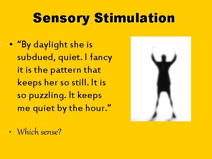 Sensory Stimulation • “By daylight she is subdued, quiet. I fancy it is the