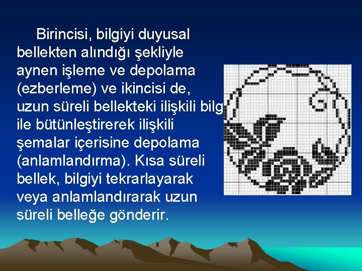 Birincisi, bilgiyi duyusal bellekten alındığı şekliyle aynen işleme ve depolama (ezberleme) ve ikincisi de,