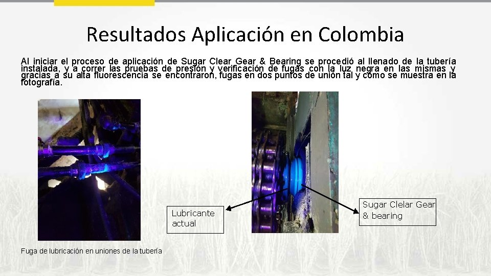 Resultados Aplicación en Colombia Al iniciar el proceso de aplicación de Sugar Clear Gear