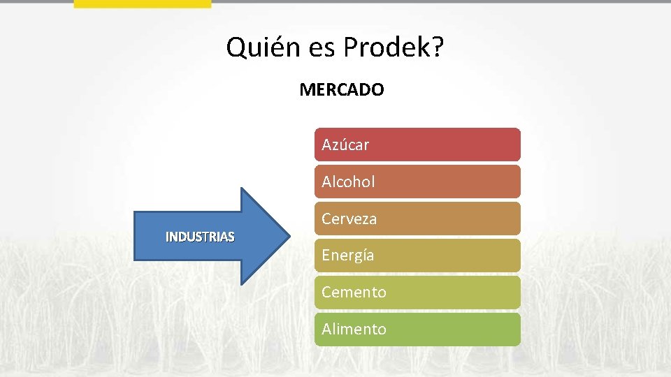 Quién es Prodek? MERCADO Azúcar Alcohol INDUSTRIAS Cerveza Energía Cemento Alimento 