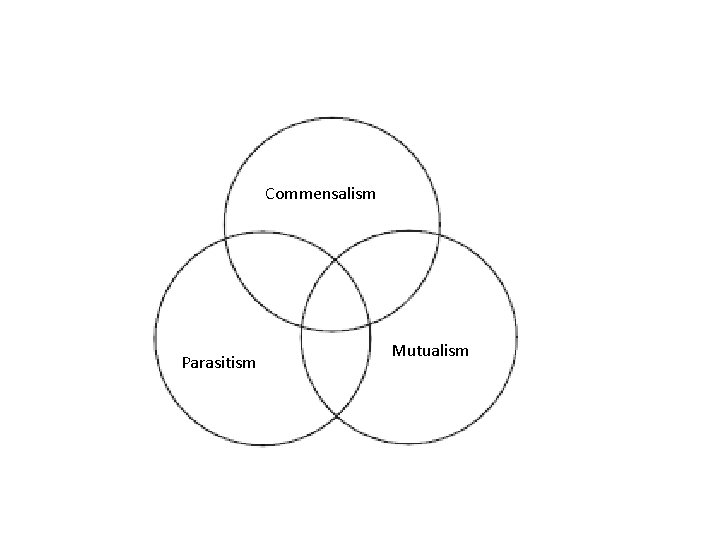 Commensalism Parasitism Mutualism 