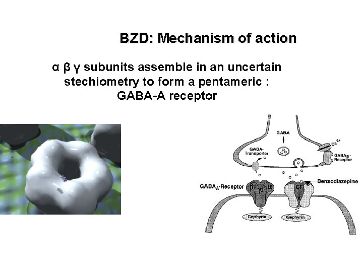 BZD: Mechanism of action α β γ subunits assemble in an uncertain stechiometry to