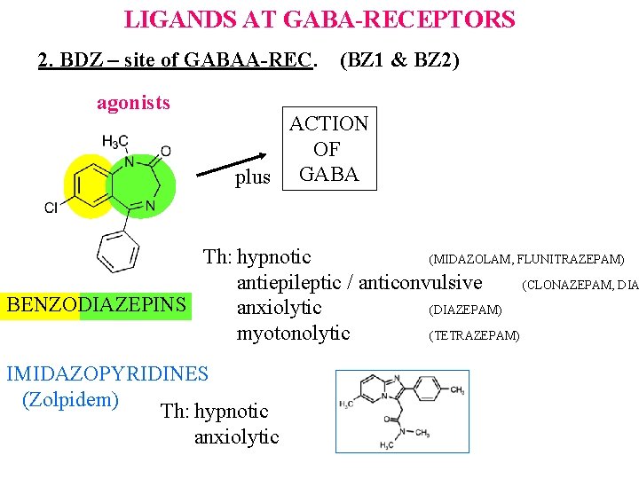 LIGANDS AT GABA-RECEPTORS 2. BDZ – site of GABAA-REC. agonists (BZ 1 & BZ