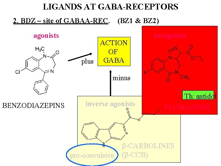 LIGANDS AT GABA-RECEPTORS 2. BDZ – site of GABAA-REC. agonists (BZ 1 & BZ