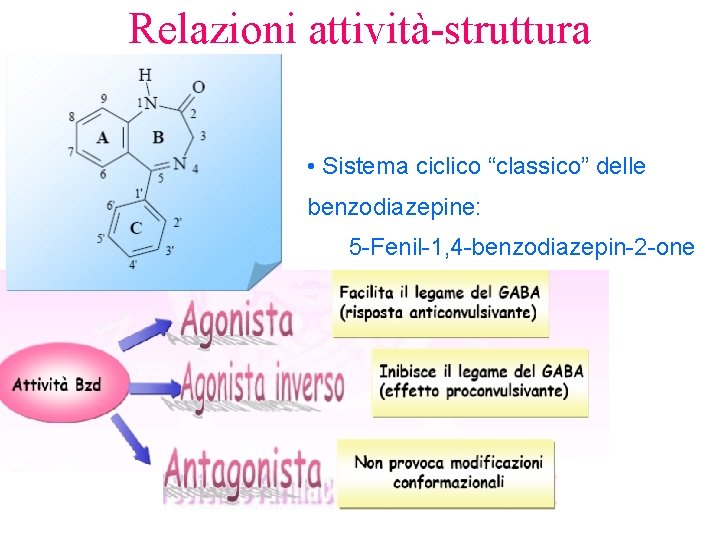 Relazioni attività-struttura • Sistema ciclico “classico” delle benzodiazepine: 5 -Fenil-1, 4 -benzodiazepin-2 -one 
