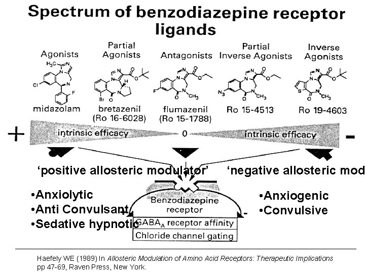 ‘positive allosteric modulator’ • Anxiolytic • Anti Convulsant • Sedative hypnotic ‘negative allosteric mod