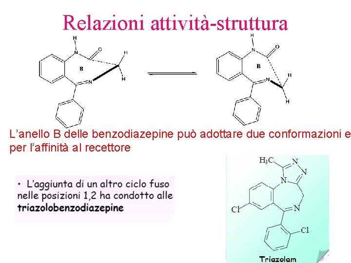 Relazioni attività-struttura L’anello B delle benzodiazepine può adottare due conformazioni e per l’affinità al