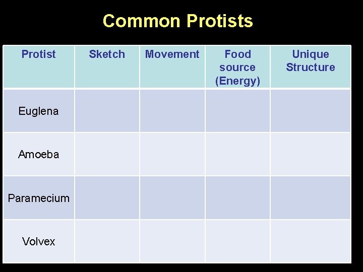 Common Protists Groups Features Sketch Movementand Food Unique Protist Draw Table below on Page