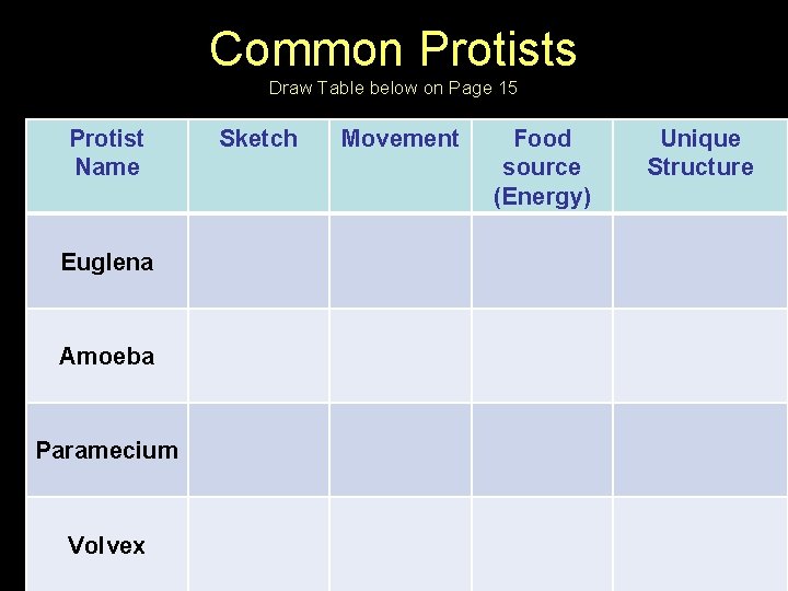 Common Protists Draw Table below on Page 15 Protist Name Euglena Amoeba Paramecium Volvex