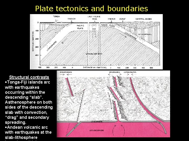 Plate tectonics and boundaries Structural contrasts §Tonga-Fiji islands arc with earthquakes occurring within the