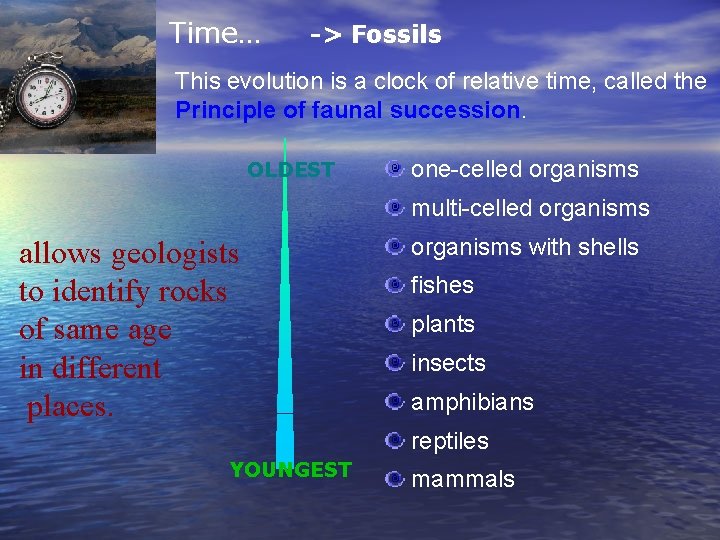 Time… -> Fossils This evolution is a clock of relative time, called the Principle