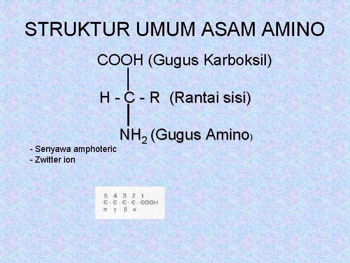 STRUKTUR UMUM ASAM AMINO COOH (Gugus Karboksil) H - C - R (Rantai sisi)