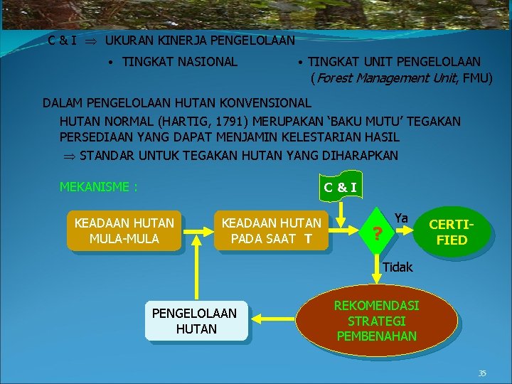 C & I UKURAN KINERJA PENGELOLAAN • TINGKAT NASIONAL • TINGKAT UNIT PENGELOLAAN (Forest