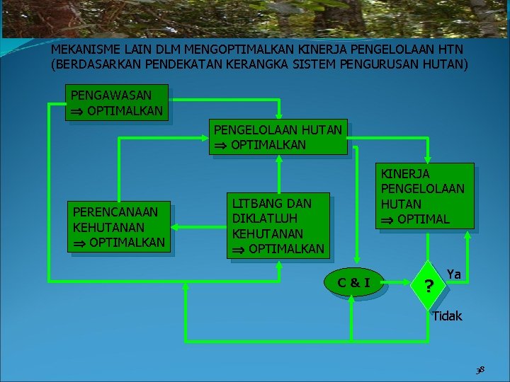 MEKANISME LAIN DLM MENGOPTIMALKAN KINERJA PENGELOLAAN HTN (BERDASARKAN PENDEKATAN KERANGKA SISTEM PENGURUSAN HUTAN) PENGAWASAN