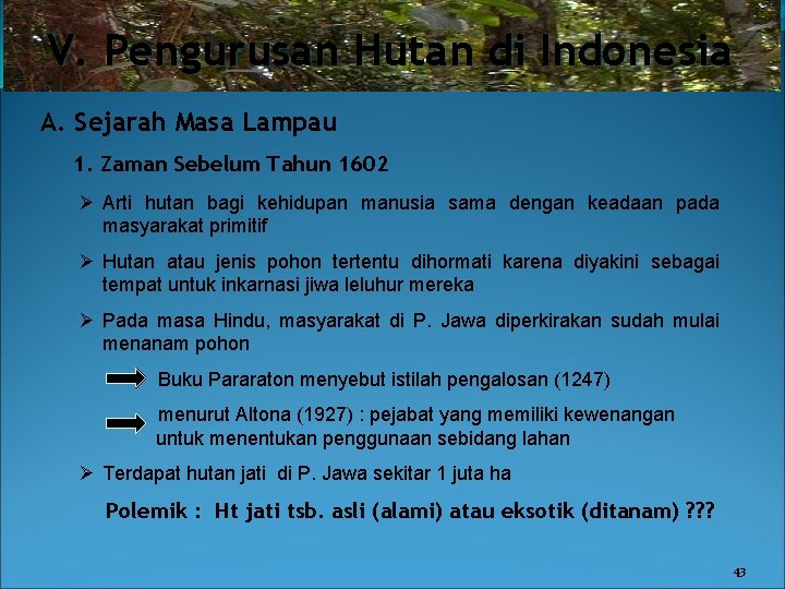 V. Pengurusan Hutan di Indonesia A. Sejarah Masa Lampau 1. Zaman Sebelum Tahun 1602