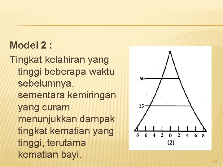 Model 2 : Tingkat kelahiran yang tinggi beberapa waktu sebelumnya, sementara kemiringan yang curam