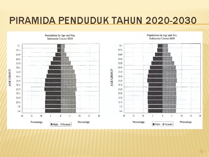 PIRAMIDA PENDUDUK TAHUN 2020 -2030 53 