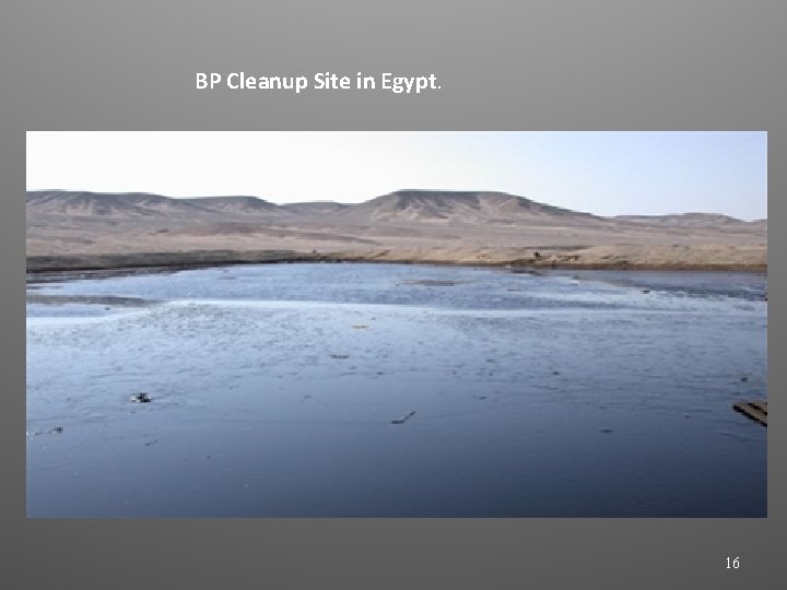 BP Cleanup Site in Egypt. 16 