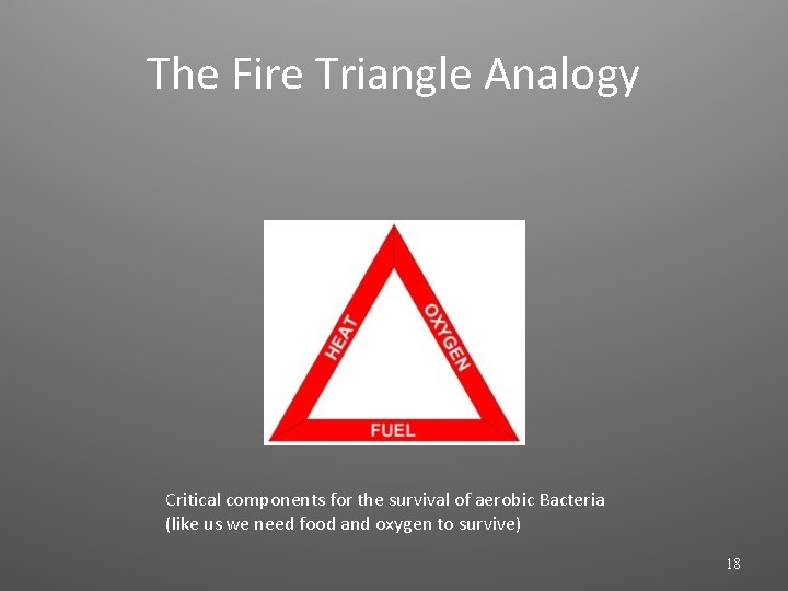 The Fire Triangle Analogy Critical components for the survival of aerobic Bacteria (like us